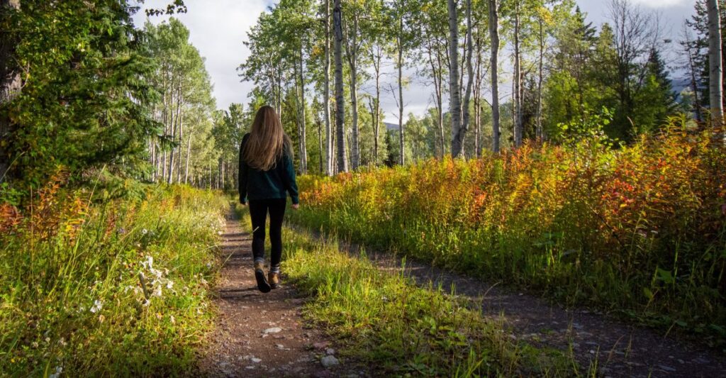 Mindful steps: learn about the power of Walking Meditation